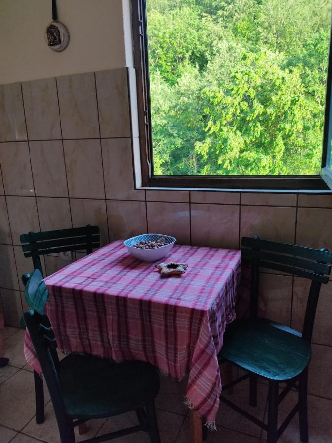 Apartmani Jana Bijelo Polje Exterior photo