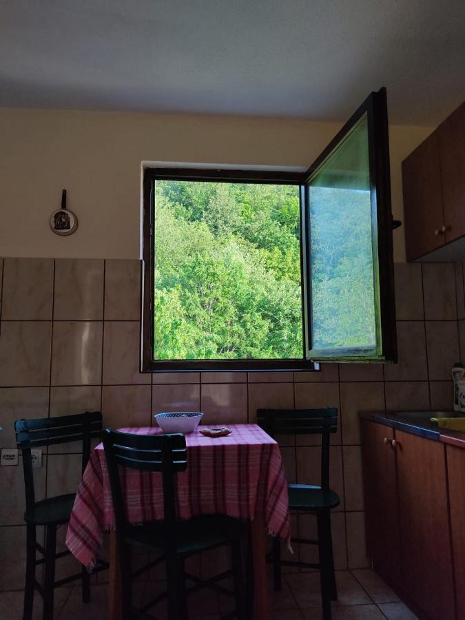 Apartmani Jana Bijelo Polje Exterior photo